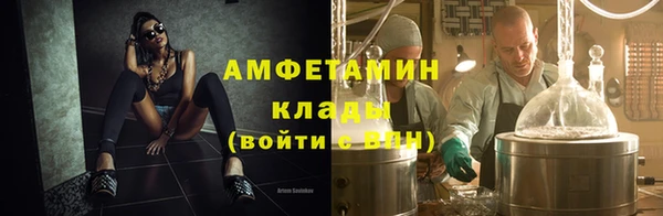 сатива Баксан