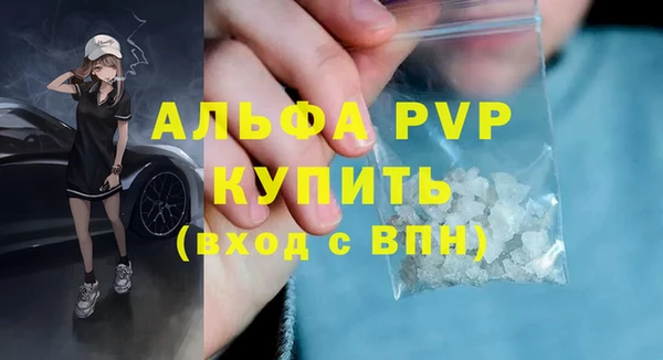 сатива Баксан