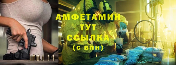 сатива Баксан